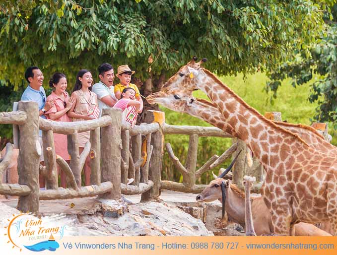 vuon-thu-quy-vuong-vinwonders-nha-trang-safari-2021